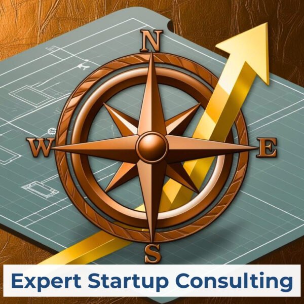 Bluez Innovations Startup & Operations Consulting