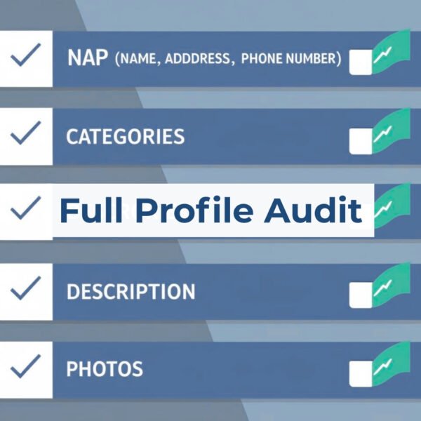 Comprehensive GMB profile audit example.